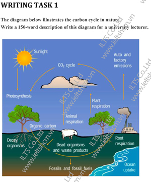 ielts writing task 1 - ieltshcm